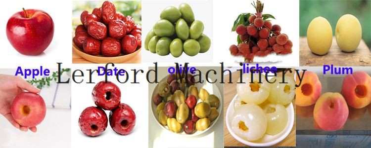 Plum Pitting Machine