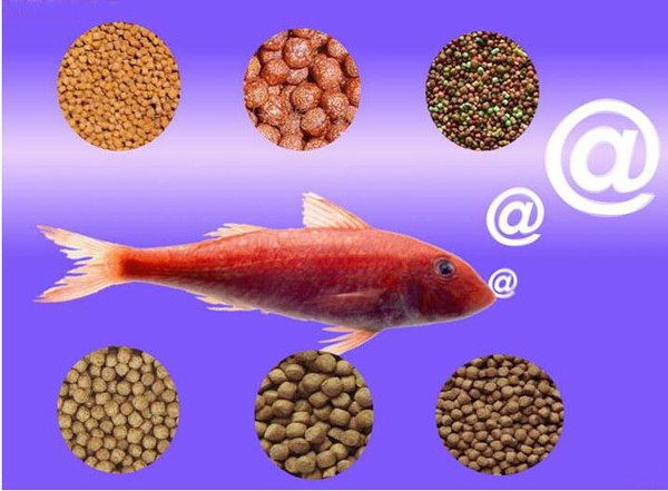 fish feed machine fish feed machine