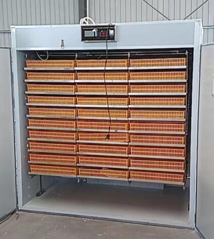 chick incubator chick incubator