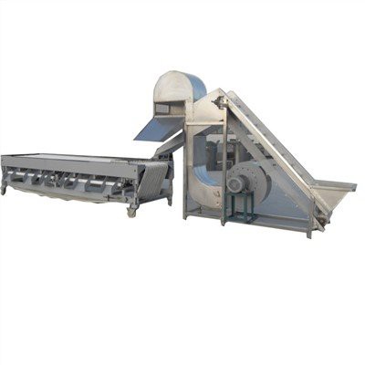 Equipo de clasificación de frutas