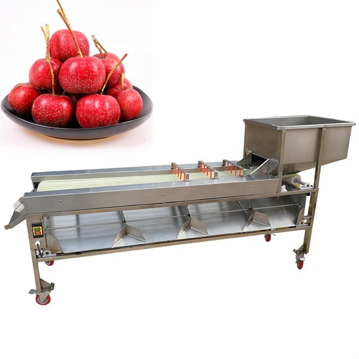 Máquina de embalaje de clasificación de Apple