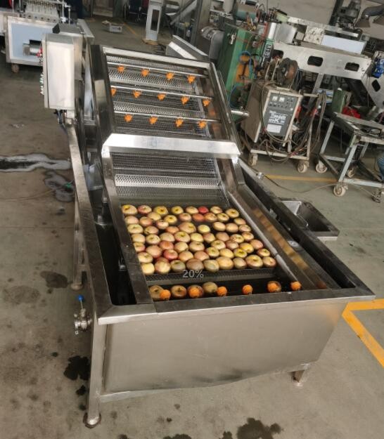 Fruit And Vegetable Cleaning Machine
