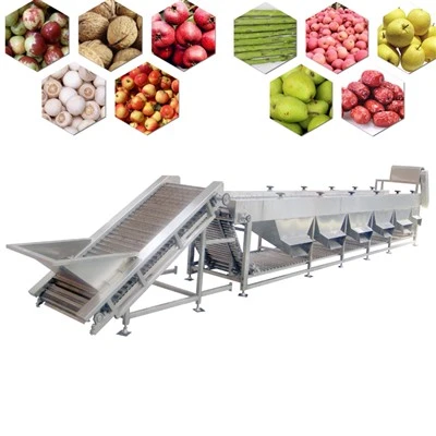 Clasificadora automática de manzanas