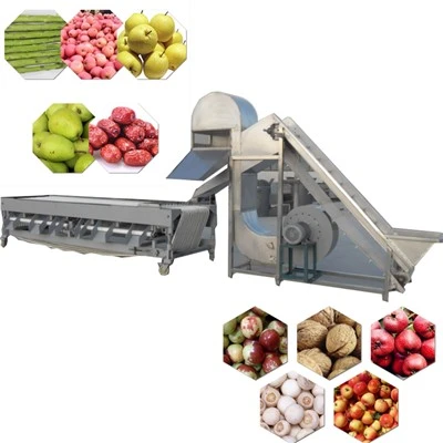 Máquina automática de clasificación y clasificación de frutas