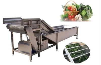 Lavadora de frutas y verduras
